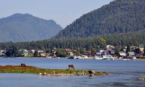 Купить Участок 10 соток (132/7 - Т) земельные участки Горного Алтая